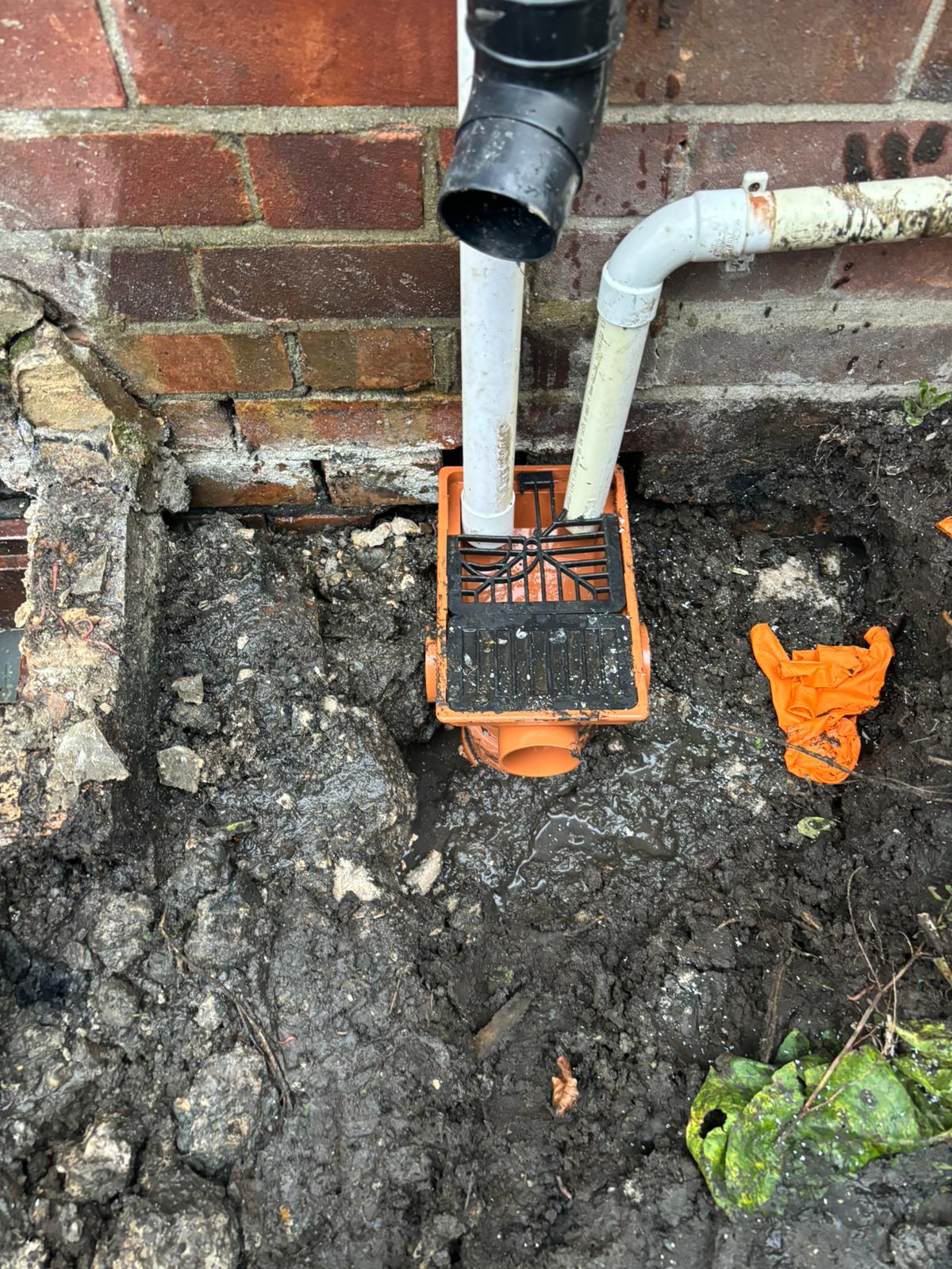 WhatsApp Image 2025 02 03 at 21.25.21 (3)